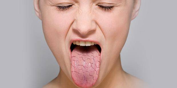 Se estima que la boca está humedecida por la producción de entre 1 y 1.5 litros de saliva al día
