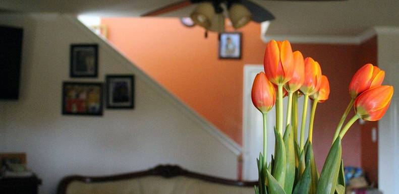 Cinco consejos básicos para decorar ayudan a conseguir la casa deseada