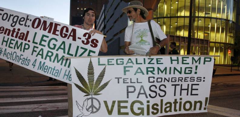 La marcha en pro de la legalización de la marihuana recorrió toda la ciudad