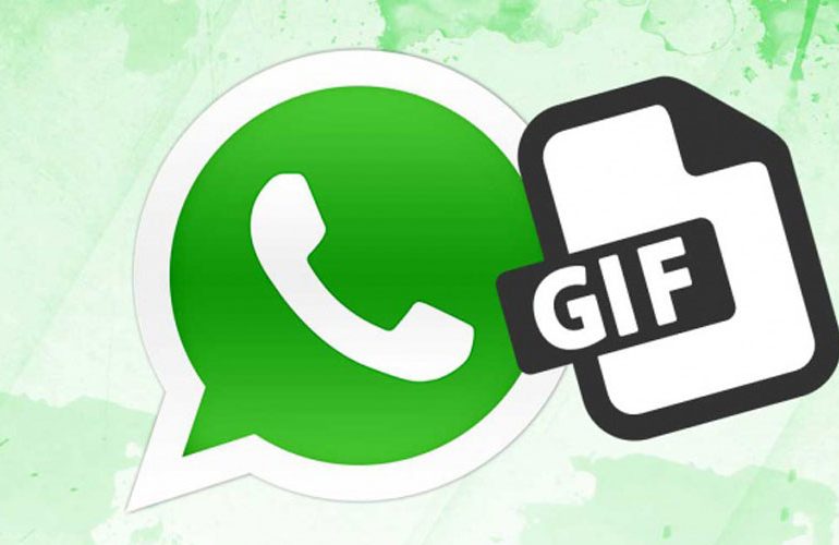 Whatsapp ahora podrá reproducir gifs