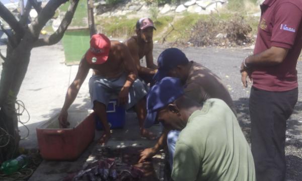 Pesqueros en Vargas sufren la crisis que afecta al país