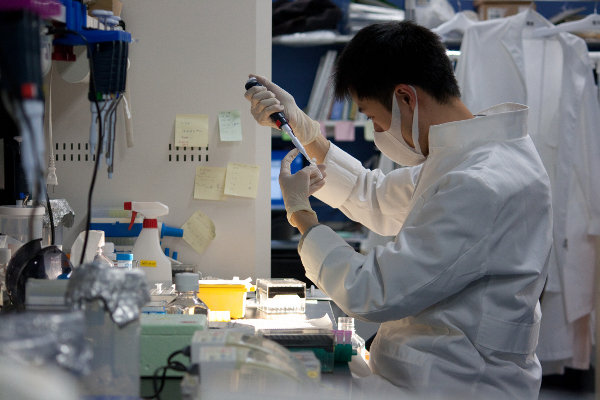 Durante un test rutinario en alimentos para animales para detectar microbios resistentes, el grupo del investigador chino aisló una cepa de E.coli procedente de una granja porcina intensiva en Shanghái que mostró resistencia a la colistina.