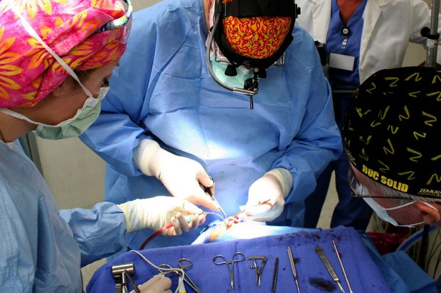 Médicos sudafricanos confirmaron que primer trasplante de pene fue exitoso