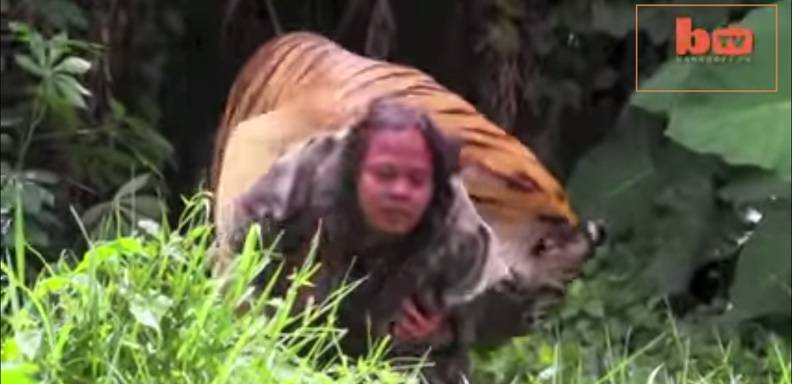 tigre mascota en Indonesia come más de kg de carne al día