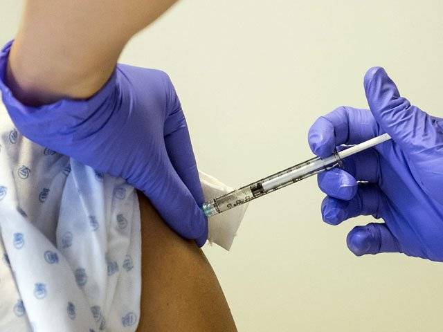 Dos vacunas experimentales han demostrado que protegen a los monos contra la cepa de ébola responsable del actual brote de la enfermedad en África