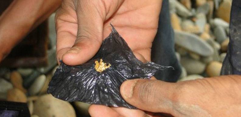 Guyana iniciará proyectos extracción de oro en el Esequibo