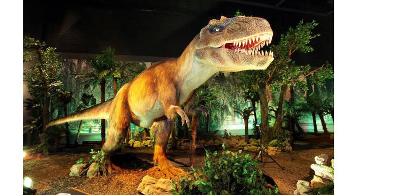 Desde que abrió sus puertas “Dinosaurios, Parque Jurásico”, en el Paseo El Hatillo, se convirtió en tiempo record en la atracción preferida de toda la familia