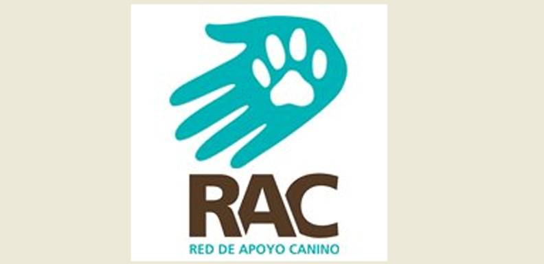 La actividad forma parte de la conmemoración del Día Internacional del Perro Callejero, mediante la cual se invita a la colectividad a fomentar el respeto y el cuidado de las mascotas