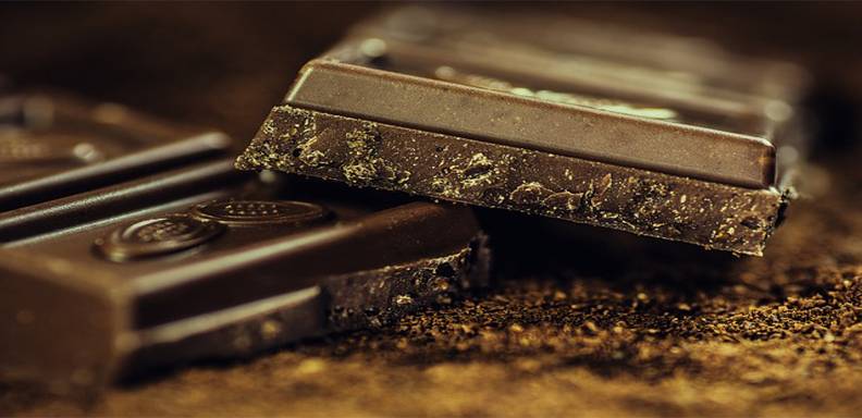 Los principales aportes del cacao son que ayuda a reducir el colesterol, controla la azúcar en la sangre y levanta el ánimo