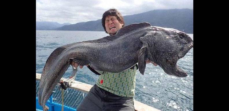 Un pescador japonés famoso en sus redes sociales por mostrar las fotografias de sus capturas, vuelve a ser protagonista con la foto de un "pez mutante" que consiguió cerca de Fukushima/Foto: Twitter