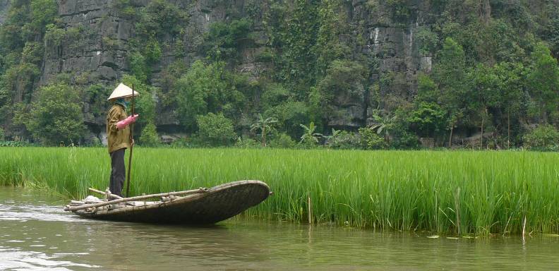 Vietnam es exportador mundial de café y el tercero de arroz