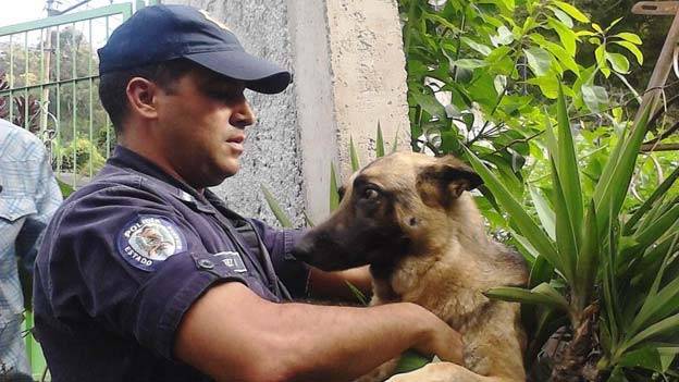 Escasez afecta a brigada canina de Polimiranda