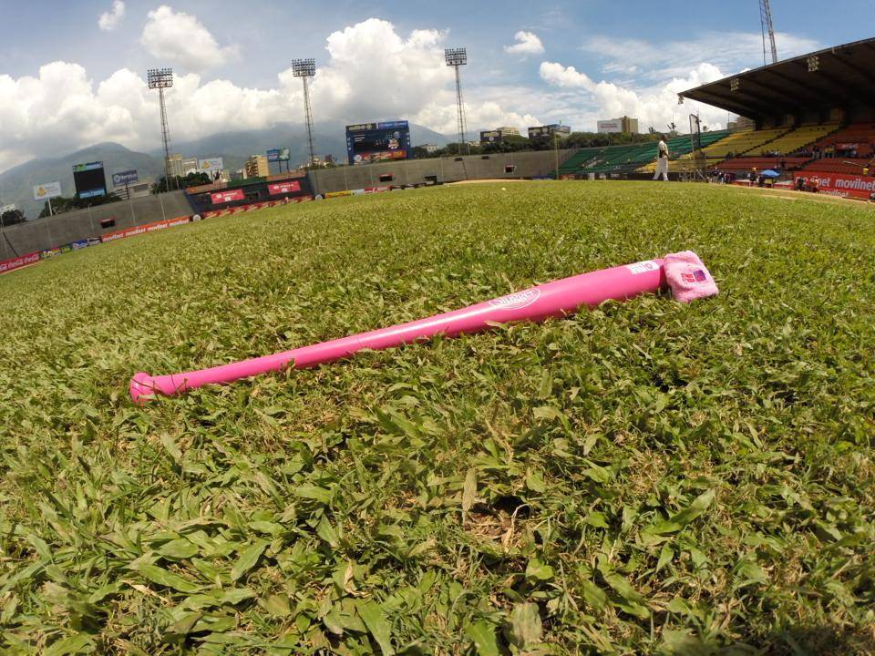 La Liga Venezolana de Béisbol Profesional (LVBP) celebrará este lunes el Día Mundial contra el Cáncer de Mama junto con SenosAyuda en el Universitario /Foto: noticiaaldia.com
