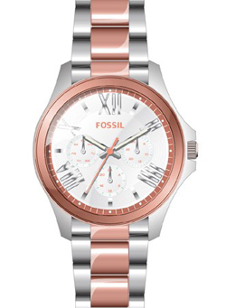 Fossil-11