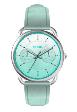 Fossil22