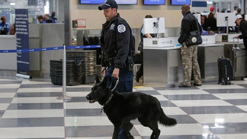 Evacúan zona del aeropuerto de Denver por posible amenaza de seguridad