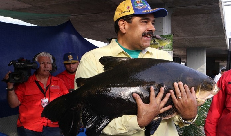 Camiones de sardinas tendrán una gigantesca cara de Maduro