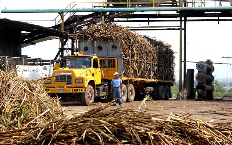 Ministro Castro Soteldo: Es probable que se incremente el precio del azúcar de consumo industrial