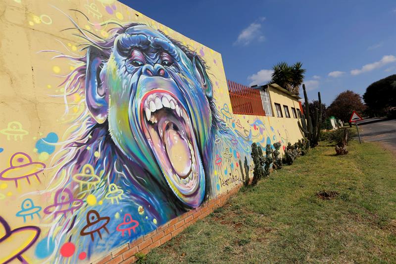 Grafitis adornan puentes, edificios y paredes de Johannesburgo, una versión africana de Nueva York / Foto: EFE