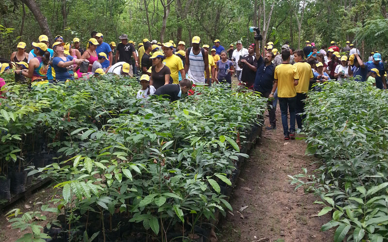 EPA invita a celebrar el Día del Árbol con jornada de reforestación en Casupo