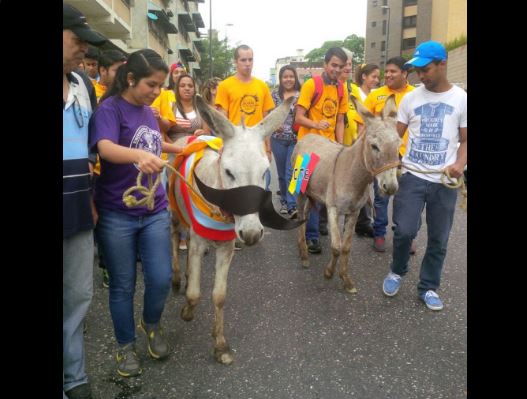 El alcalde Ramón Muchacho calificó de "insólita" la desaparición de los burros detenidos en la protesta de jóvenes de Primero Justicia