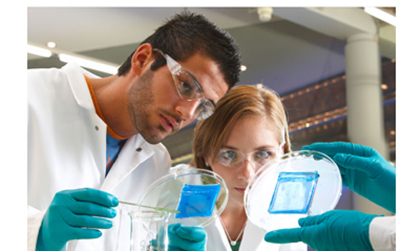 Fundación Bayer ofrece becas en carreras de ciencias de la vida