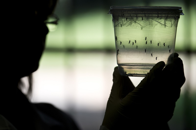 Lyle Petersen, director a cargo de la respuesta al virus del zika de los Centros para la Prevención y Detección de Enfermedades (CDC) de EE.UU., ha advertido de que puede haber más casos de personas contagiadas de zika dentro del país.