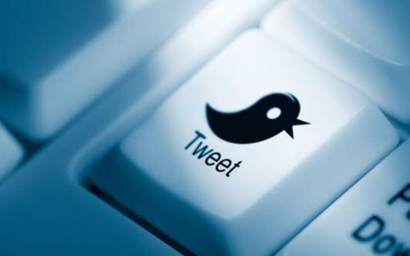 Panda: Los fraudes con la insignia azul de Twitter