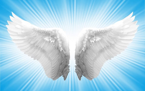 Las alas del ángel 