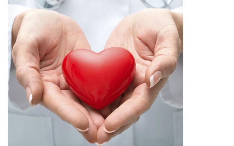 Programa “¿Qué Ocurrió en Cardiología?” contó con el apoyo de Laboratorios Nolver