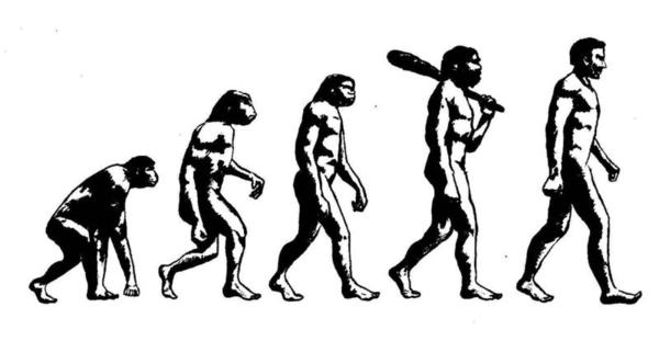 Una carta del 2014 sobre la evolución