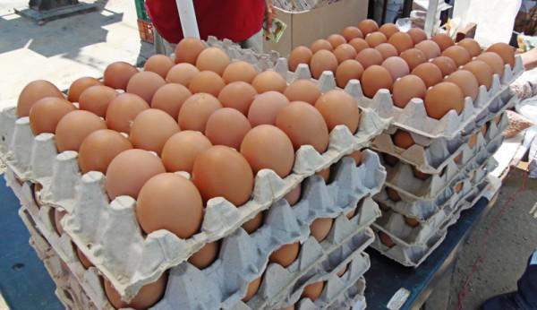 El cartón de huevos ya se consigue en 13.000 Bs. 