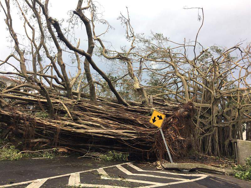 Puerto Rico es declarado "zona de desastre" tras el paso del huracán María