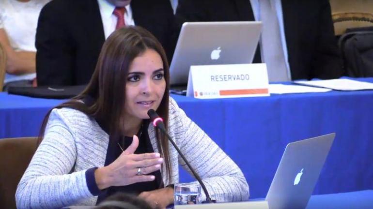 Tamara Suju, Representante de Venezuela ante la República Checa