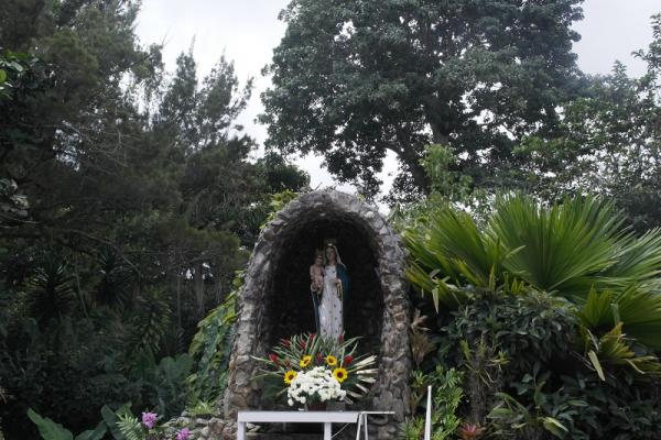 El “bosquecito de María” en Los Altos Mirandinos
