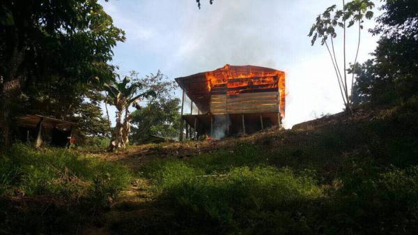 Campamento de drogas incinerado en la frontera con Colombia 