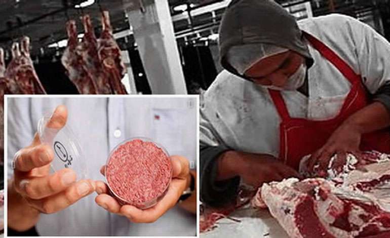 Mosa Meat: ¿Carne de laboratorio o sacrificio de animales?