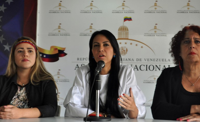 Delsa Solorzano, Derechos Humanos, Presos políticos, Asamblea Nacional