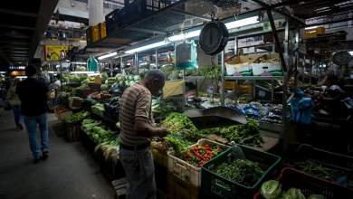 Photo of Fedeagro: Producción de alimentos vegetales experimenta una caída de entre 74% y 99%