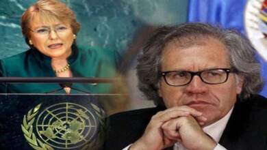 Photo of Almagro solicitó a Michelle Bachelet, una investigación internacional sobre la muerte de Baduel