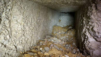 Photo of Investigadores españoles revelan cómo era la tumba de Imephor hace 4.000 años