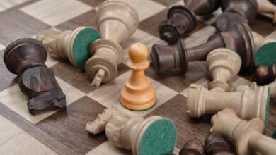 El ajedrez es a la vez deporte, ciencia, arte y diversión 